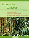 Le charme des bambous