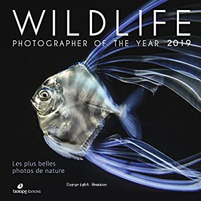 Wildlife photographer of the year 2019