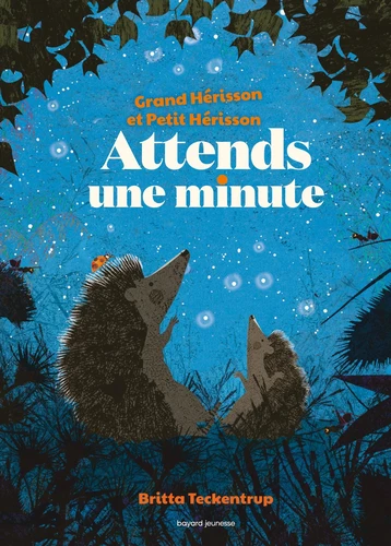 Grand hérisson et Petit hérisson