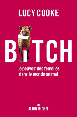 Bitch