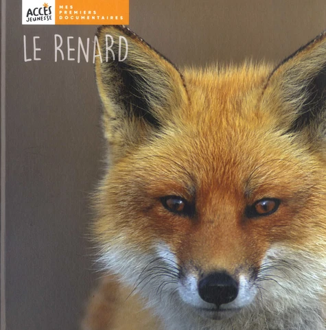 Le renard