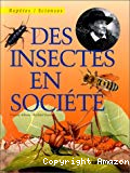 Des insectes en société