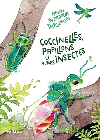 Coccinelles, papillons et autres insectes