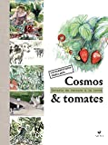 Cosmos & tomates