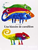 Une histoire de caméléon