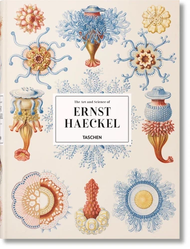 The art and science of Ernst Haeckel