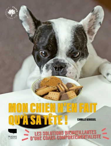 Mon chien n'en fait qu'à sa tête