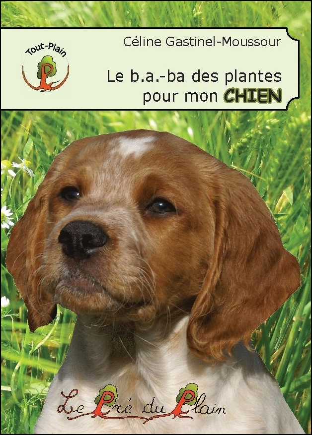 Le b.a.-ba des plantes pour mon chien