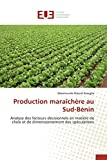 Production maraîchère au sud-bénin