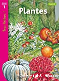 Plantes
