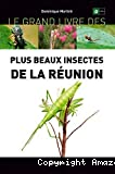 Le grand livre des plus beaux insectes de la Réunion