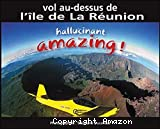 Vol au-dessus de l'île de la Réunion