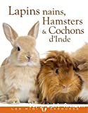Lapins nains, Hamsters et Cobayes