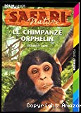 Le chimpanzé orphelin