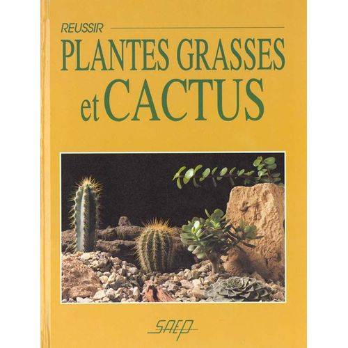 Réussir plantes grasses et cactus