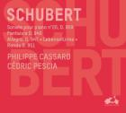 Schubert - sonate pour piano d.959