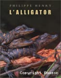 L'alligator