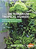 Créer un terrarium tropical humide